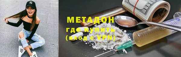 прущие грибы Заводоуковск