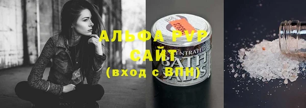 прущие грибы Заводоуковск