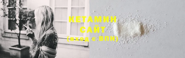 прущие грибы Заводоуковск