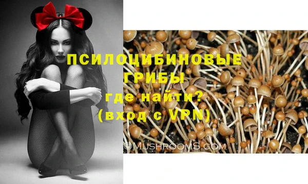 прущие грибы Заводоуковск