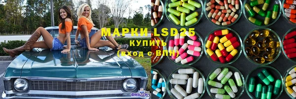 гидра Заволжье