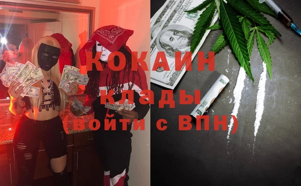 прущие грибы Заводоуковск