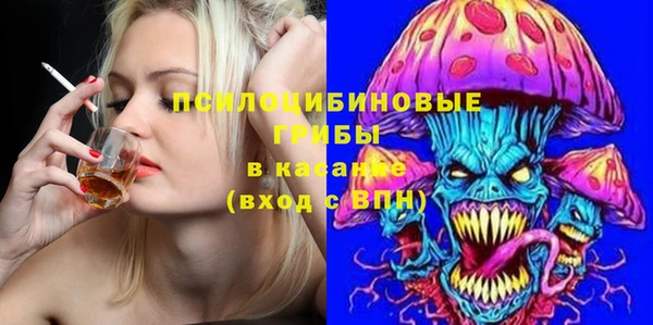прущие грибы Заводоуковск