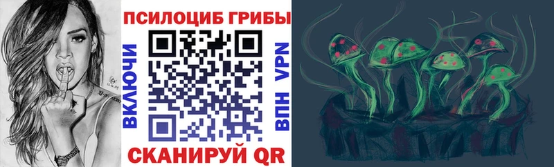 Купить  Курлово  Галлюциногенные грибы GOLDEN TEACHER 